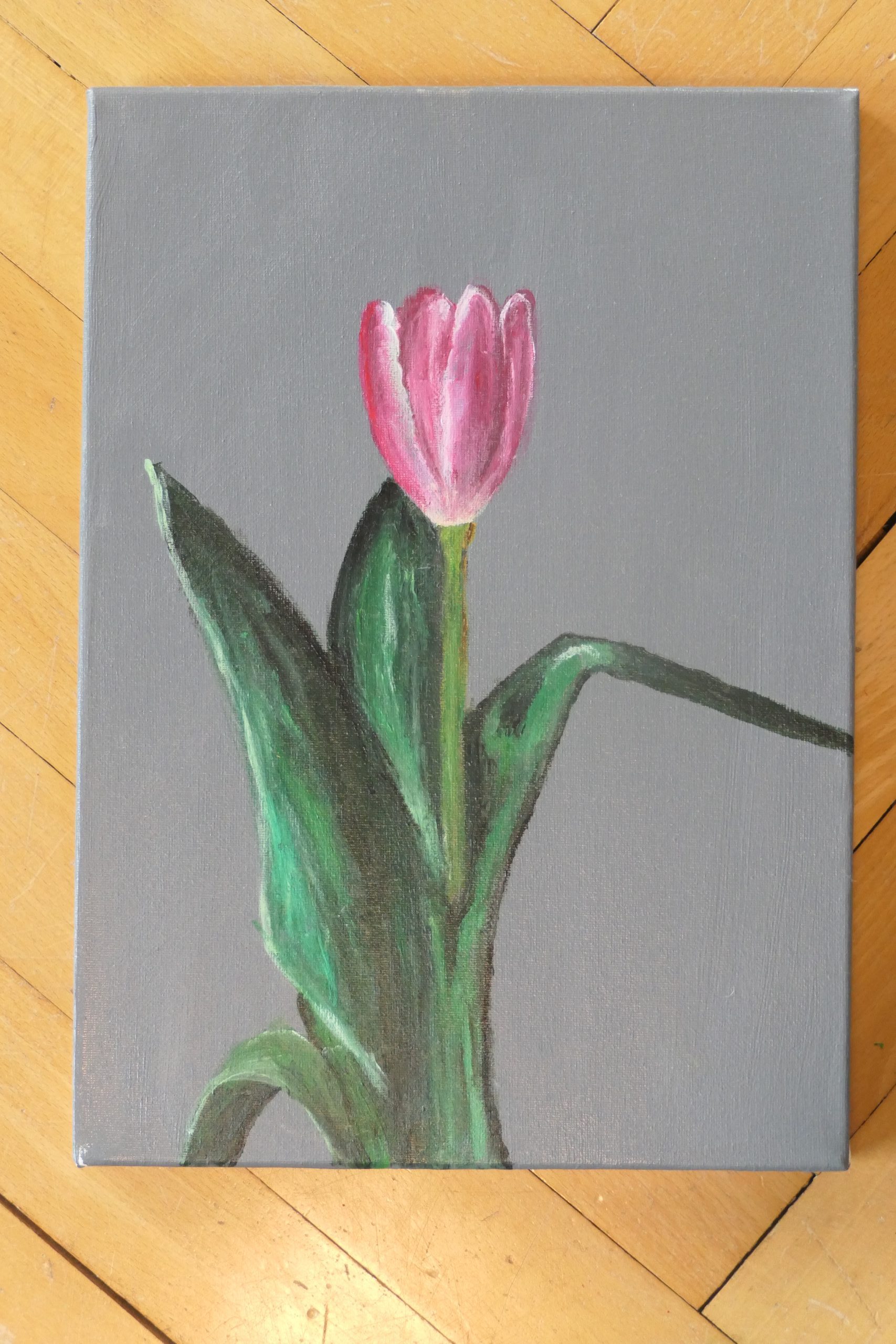 Stille Tulpe