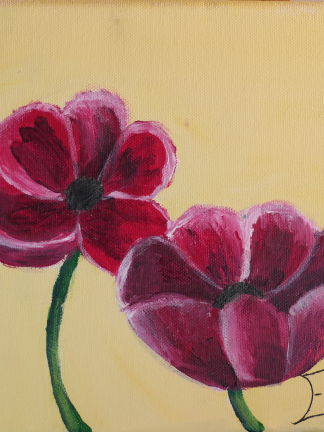 Mohnblume