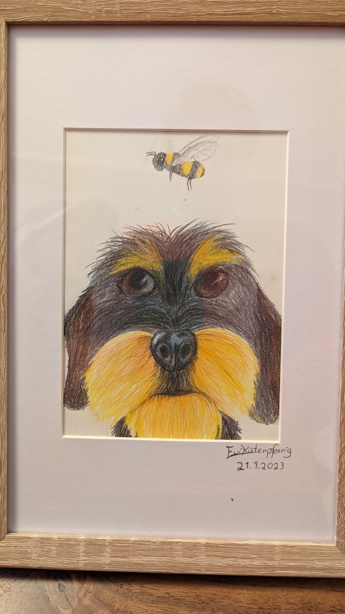 Hund mit Biene